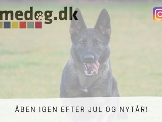 GAMEDOG.DK ÅBEN IGEN EFTER JUL OG NYTÅR